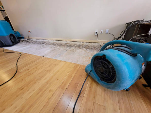 Professional Water Removal technician working in Port Jefferson Station, NY